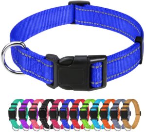 Coleira para cães TagMe de nylon reflexivo ajustável de 1,0 cm azul royal